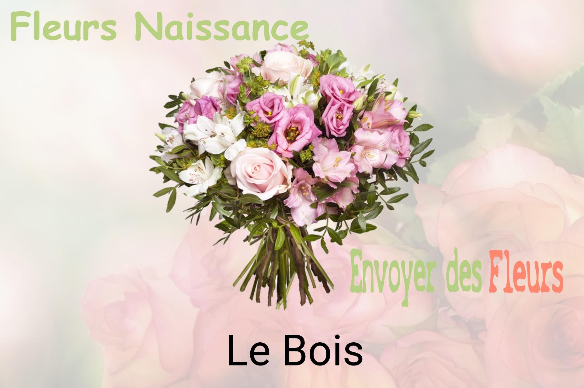 Bouquet de fleurs de naissance livré à Le Bois
